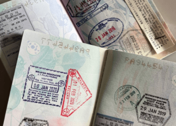 Holiday Travel Essentials