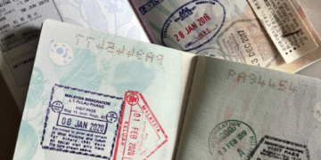 Holiday Travel Essentials