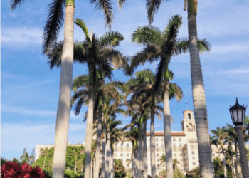 Palm Beach Weekend Itinerary