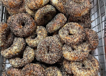 PopUp Bagels is Coming to Palm Beach