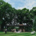The Glass House Summer Party Returns with a Celebration of Art, Design, and Performance