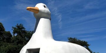 Big Duck Energy 